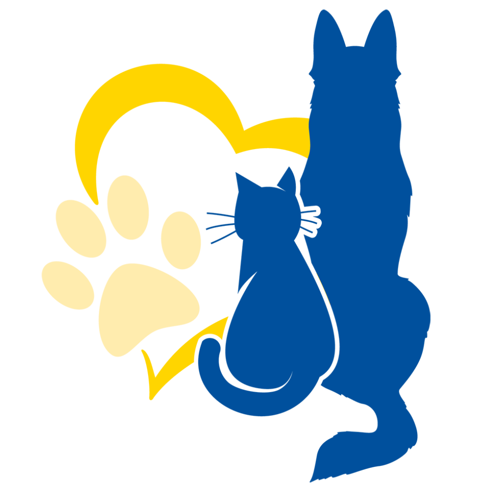 vet-near-me-wildomar-ca-92595-golden-coast-veterinary-care